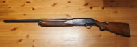 Beretta A301 12/70